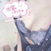 ヒメ日記 2024/12/29 14:09 投稿 ゆいな/説明不要の当たり嬢★ 10代、20代専門ハレンチ倶楽部　姫路店