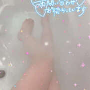 ヒメ日記 2025/02/20 19:59 投稿 ゆいな/説明不要の当たり嬢★ 10代、20代専門ハレンチ倶楽部　姫路店