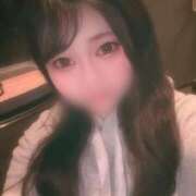 ヒメ日記 2025/04/04 10:28 投稿 こむぎ アラカルト