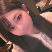 ヒメ日記 2025/04/06 11:20 投稿 こむぎ アラカルト