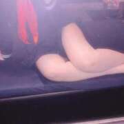 ヒメ日記 2025/04/07 16:27 投稿 こむぎ アラカルト