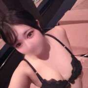 ヒメ日記 2025/04/10 12:21 投稿 こむぎ アラカルト