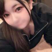 ヒメ日記 2025/04/25 15:20 投稿 こむぎ アラカルト