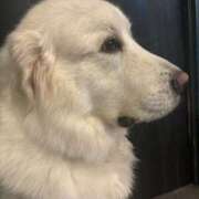 ヒメ日記 2025/05/07 22:08 投稿 こむぎ アラカルト