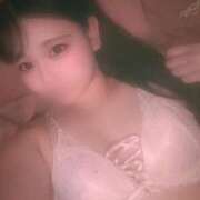 ヒメ日記 2025/05/29 16:04 投稿 こむぎ アラカルト