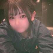 ヒメ日記 2025/06/04 18:08 投稿 こむぎ アラカルト