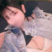 ヒメ日記 2025/06/29 18:10 投稿 こむぎ アラカルト