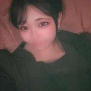 ヒメ日記 2025/08/04 20:10 投稿 こむぎ アラカルト