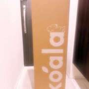 ヒメ日記 2025/09/10 20:14 投稿 こむぎ アラカルト