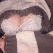 ヒメ日記 2025/11/21 16:29 投稿 こむぎ アラカルト