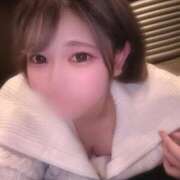 ヒメ日記 2026/02/12 12:49 投稿 こむぎ アラカルト