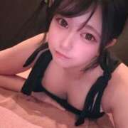 こむぎ 🎀🎀 アラカルト