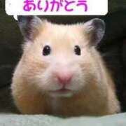 ヒメ日記 2024/12/13 10:25 投稿 まなみ 熟女の風俗最終章 西川口店