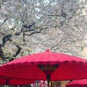 ヒメ日記 2025/04/04 17:51 投稿 なな 大奥 梅田店