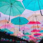 ヒメ日記 2026/04/15 19:24 投稿 まの 奥様特急　立川店