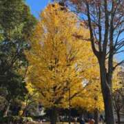 ヒメ日記 2024/12/17 09:07 投稿 じゅん 熟女デリヘル倶楽部