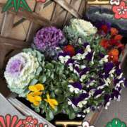 ヒメ日記 2025/01/06 09:05 投稿 じゅん 熟女デリヘル倶楽部