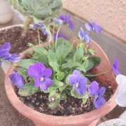 ヒメ日記 2025/01/17 09:07 投稿 じゅん 熟女デリヘル倶楽部