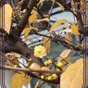 ヒメ日記 2025/01/20 09:06 投稿 じゅん 熟女デリヘル倶楽部