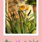 ヒメ日記 2025/01/31 09:08 投稿 じゅん 熟女デリヘル倶楽部