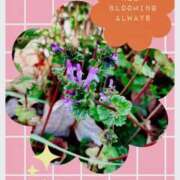 ヒメ日記 2025/02/11 09:10 投稿 じゅん 熟女デリヘル倶楽部