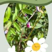 ヒメ日記 2025/03/18 09:07 投稿 じゅん 熟女デリヘル倶楽部