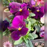 ヒメ日記 2025/03/22 09:07 投稿 じゅん 熟女デリヘル倶楽部