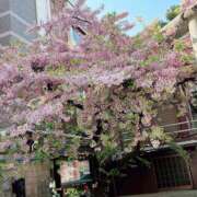 ヒメ日記 2025/03/24 08:53 投稿 じゅん 熟女デリヘル倶楽部