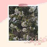 ヒメ日記 2025/03/28 09:00 投稿 じゅん 熟女デリヘル倶楽部