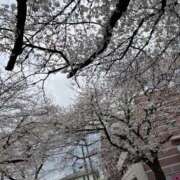 ヒメ日記 2025/03/31 09:12 投稿 じゅん 熟女デリヘル倶楽部