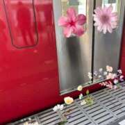 ヒメ日記 2025/04/05 09:06 投稿 じゅん 熟女デリヘル倶楽部