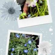 ヒメ日記 2025/04/07 08:58 投稿 じゅん 熟女デリヘル倶楽部