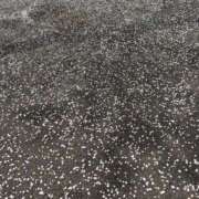 ヒメ日記 2025/04/12 09:02 投稿 じゅん 熟女デリヘル倶楽部