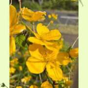 ヒメ日記 2025/04/15 09:15 投稿 じゅん 熟女デリヘル倶楽部