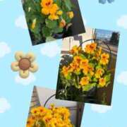 ヒメ日記 2025/04/21 09:13 投稿 じゅん 熟女デリヘル倶楽部