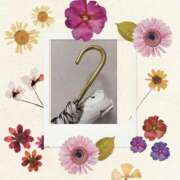 ヒメ日記 2025/05/09 09:06 投稿 じゅん 熟女デリヘル倶楽部