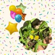 ヒメ日記 2025/05/20 08:59 投稿 じゅん 熟女デリヘル倶楽部