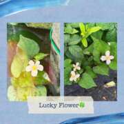 ヒメ日記 2025/05/31 08:46 投稿 じゅん 熟女デリヘル倶楽部