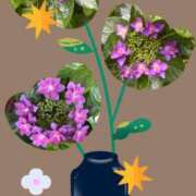 ヒメ日記 2025/06/02 08:58 投稿 じゅん 熟女デリヘル倶楽部