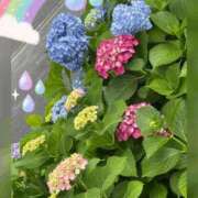 ヒメ日記 2025/06/13 09:01 投稿 じゅん 熟女デリヘル倶楽部