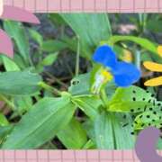 ヒメ日記 2025/06/27 09:11 投稿 じゅん 熟女デリヘル倶楽部