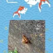 ヒメ日記 2025/07/12 09:09 投稿 じゅん 熟女デリヘル倶楽部