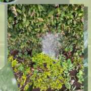 ヒメ日記 2025/07/14 08:53 投稿 じゅん 熟女デリヘル倶楽部