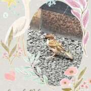 ヒメ日記 2025/07/18 08:48 投稿 じゅん 熟女デリヘル倶楽部