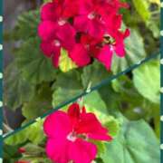 ヒメ日記 2025/07/19 09:03 投稿 じゅん 熟女デリヘル倶楽部