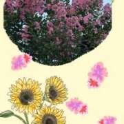 ヒメ日記 2025/08/01 09:36 投稿 じゅん 熟女デリヘル倶楽部