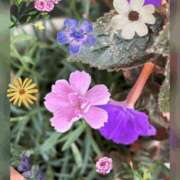 ヒメ日記 2025/09/06 09:03 投稿 じゅん 熟女デリヘル倶楽部