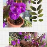 ヒメ日記 2025/10/17 08:54 投稿 じゅん 熟女デリヘル倶楽部