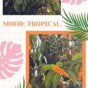 ヒメ日記 2025/10/20 08:56 投稿 じゅん 熟女デリヘル倶楽部