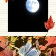 ヒメ日記 2025/11/04 08:47 投稿 じゅん 熟女デリヘル倶楽部